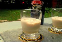 Rgime Dukan, la recette Irish Cream (Baileys sans alcool)