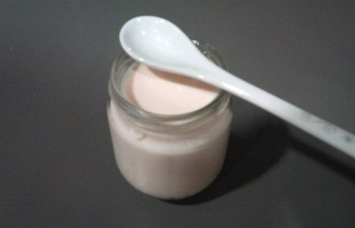Rgime Dukan (recette minceur) : Yaourt maison avec yaourtire #dukan https://www.proteinaute.com/recette-yaourt-maison-avec-yaourtiere-1133.html