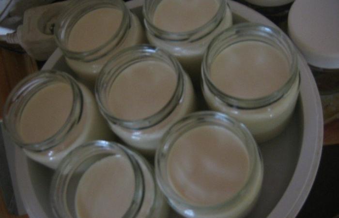 Rgime Dukan (recette minceur) : Yaourt vanille maison avec yaourtire #dukan https://www.proteinaute.com/recette-yaourt-vanille-maison-avec-yaourtiere-1244.html