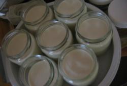 Recette Dukan : Yaourt vanille maison avec yaourtire