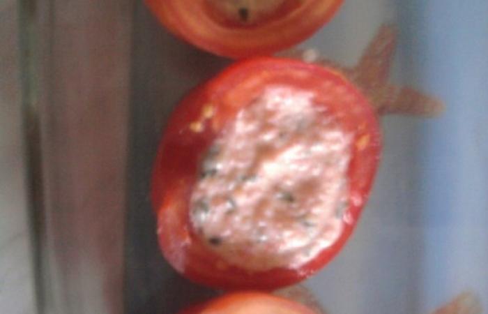 Rgime Dukan (recette minceur) : Tomate farcie  l'aioli #dukan https://www.proteinaute.com/recette-tomate-farcie-a-l-aioli-3166.html