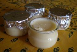 Rgime Dukan, la recette Crme  la vanille