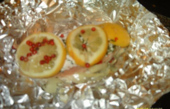 Rgime Dukan (recette minceur) : Papillote de saumon au fromage frais #dukan https://www.proteinaute.com/recette-papillote-de-saumon-au-fromage-frais-3954.html