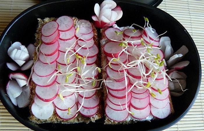 Tartine au carr frais et carpaccio de radis