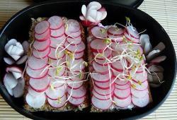 Rgime Dukan, la recette Tartine au carr frais et carpaccio de radis