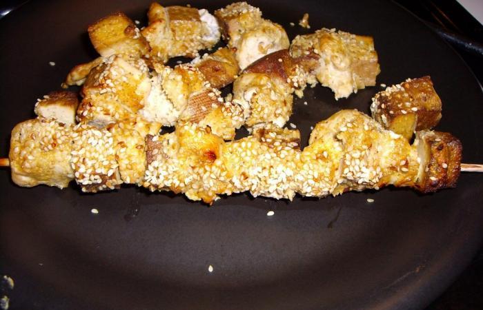 Rgime Dukan (recette minceur) : Brochettes de poulet et tofu satay #dukan https://www.proteinaute.com/recette-brochettes-de-poulet-et-tofu-satay-4297.html