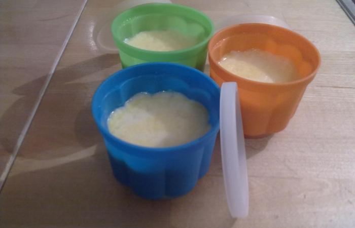 Régime Dukan (recette minceur) : Flan micro-ondes pour 6 portions #dukan https://www.proteinaute.com/recette-flan-micro-ondes-pour-6-portions-5312.html