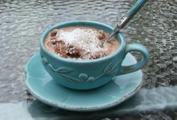 Rgime Dukan, la recette Crme glace chocolat anti craquage