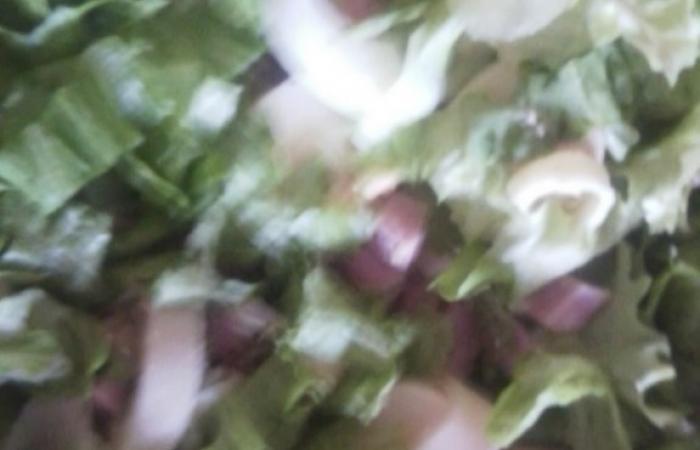 Rgime Dukan (recette minceur) : Salade compose  #dukan https://www.proteinaute.com/recette-salade-composee-5878.html