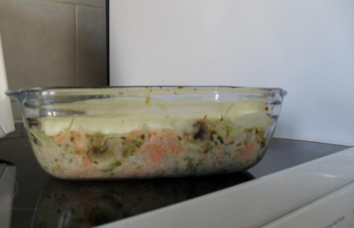 Rgime Dukan (recette minceur) : Gratin au saumon et ses petits lgumes #dukan https://www.proteinaute.com/recette-gratin-au-saumon-et-ses-petits-legumes-5937.html