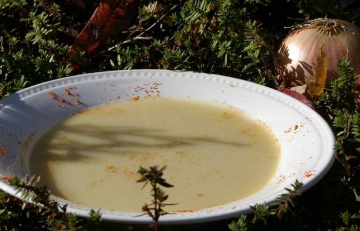Régime Dukan (recette minceur) : Velouté d'oignons #dukan https://www.proteinaute.com/recette-veloute-d-oignons-6027.html