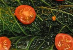 Rgime Dukan, la recette Canellonis de chou vert au hach de dinde
