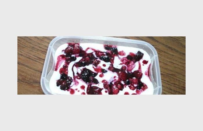 Rgime Dukan (recette minceur) : Crme dessert vanille coco aux fruits rouges #dukan https://www.proteinaute.com/recette-creme-dessert-vanille-coco-aux-fruits-rouges-8296.html