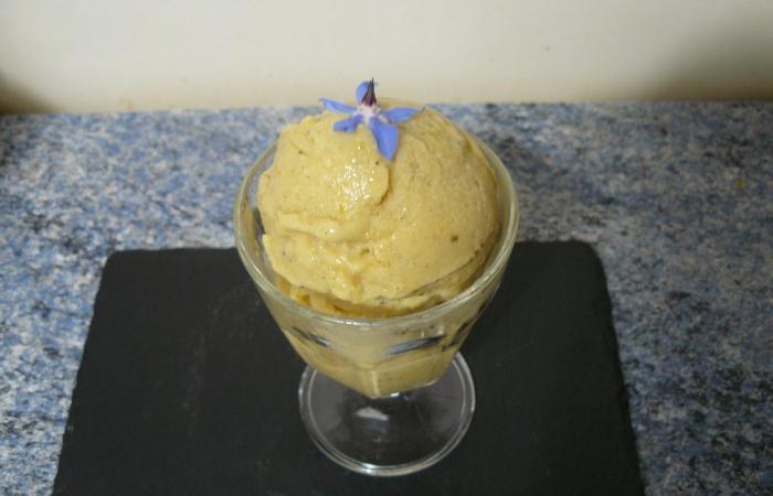 Rgime Dukan (recette minceur) : Sorbet de mangue vanille au lait vgtal #dukan https://www.proteinaute.com/recette-sorbet-de-mangue-vanillee-au-lait-vegetal-8958.html
