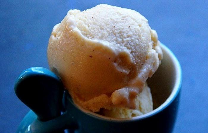 Rgime Dukan (recette minceur) : Frozen yogurt (glace au yaourt ultra light au blanc d'oeuf en poudre) #dukan https://www.proteinaute.com/recette-frozen-yogurt-glace-au-yaourt-ultra-light-au-blanc-d-oeuf-en-poudre-8987.html