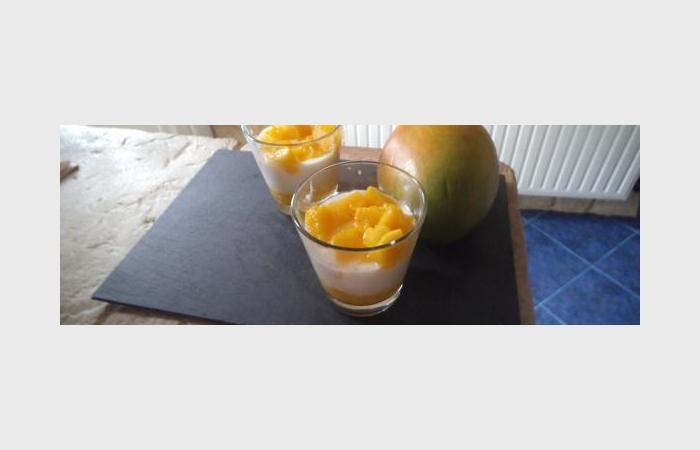 Rgime Dukan (recette minceur) : Panacotta mangue ananas  #dukan https://www.proteinaute.com/recette-panacotta-mangue-ananas-9721.html