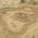 Avatar de mouszit sur Proteinaute