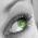 Avatar de Asp44 sur Proteinaute