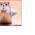 Avatar de couragelesfillesbientotle36 sur Proteinaute