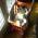 Avatar de rapt sur Proteinaute
