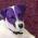 Avatar de freda95 sur Proteinaute