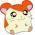 Avatar de coco13300 sur Proteinaute
