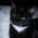 Avatar de linette66 sur Proteinaute