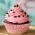 Avatar de Cupcake59 sur Proteinaute
