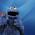 Avatar de boumboume sur Proteinaute