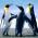 Avatar de babout2 sur Proteinaute
