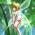 Avatar de bouclette sur Proteinaute