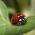 Avatar de shanna535 sur Proteinaute
