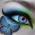 Avatar de luluronde sur Proteinaute