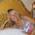 Avatar de gaby69 sur Proteinaute