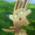 Avatar de linablot sur Proteinaute