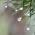 Avatar de Utilisateur135669 sur Proteinaute