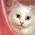 Avatar de coockie710 sur Proteinaute