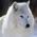 Avatar de audreyest sur Proteinaute