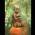 Avatar de lilooan sur Proteinaute