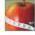 Avatar de stefy20 sur Proteinaute