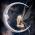Avatar de LYS4435 sur Proteinaute