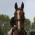 Avatar de twinymaoucha sur Proteinaute