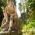 Avatar de Charlottesometimes sur Proteinaute