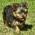 Avatar de catflo sur Proteinaute