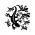 Avatar de evereun sur Proteinaute