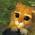 Avatar de massalex sur Proteinaute