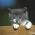 Avatar de sam67 sur Proteinaute