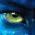Avatar de kikili29 sur Proteinaute