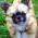 Avatar de vyvy sur Proteinaute