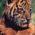 Avatar de laura13pn sur Proteinaute